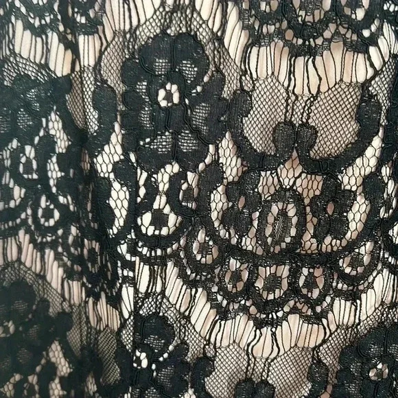 Jay Godfrey Slip Dress Black Lace Over Tan Satin Size 8